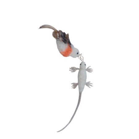 Birdie & Snow Lizard