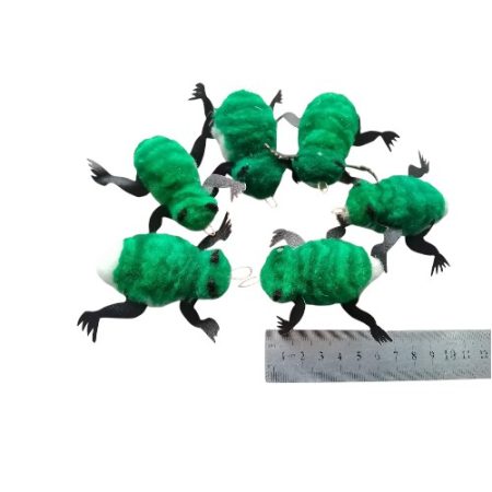 Green/White Woolly Frogs