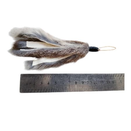 Bunny Teaser Chinchilla