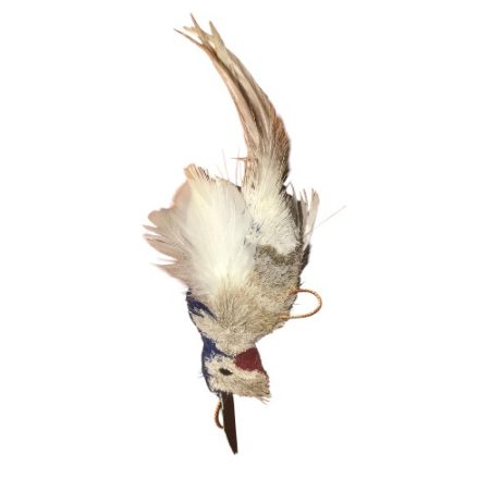 Big Bird Blue breast