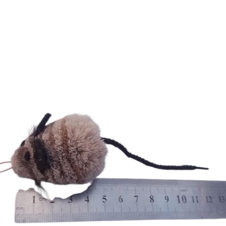 Woolly Mouse brown
